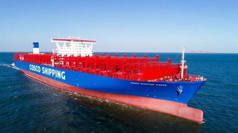 新年開門紅！中遠(yuǎn)海運(yùn)多艘新船命名交付，助力國(guó)際海運(yùn)物流網(wǎng)絡(luò)優(yōu)化升級(jí)